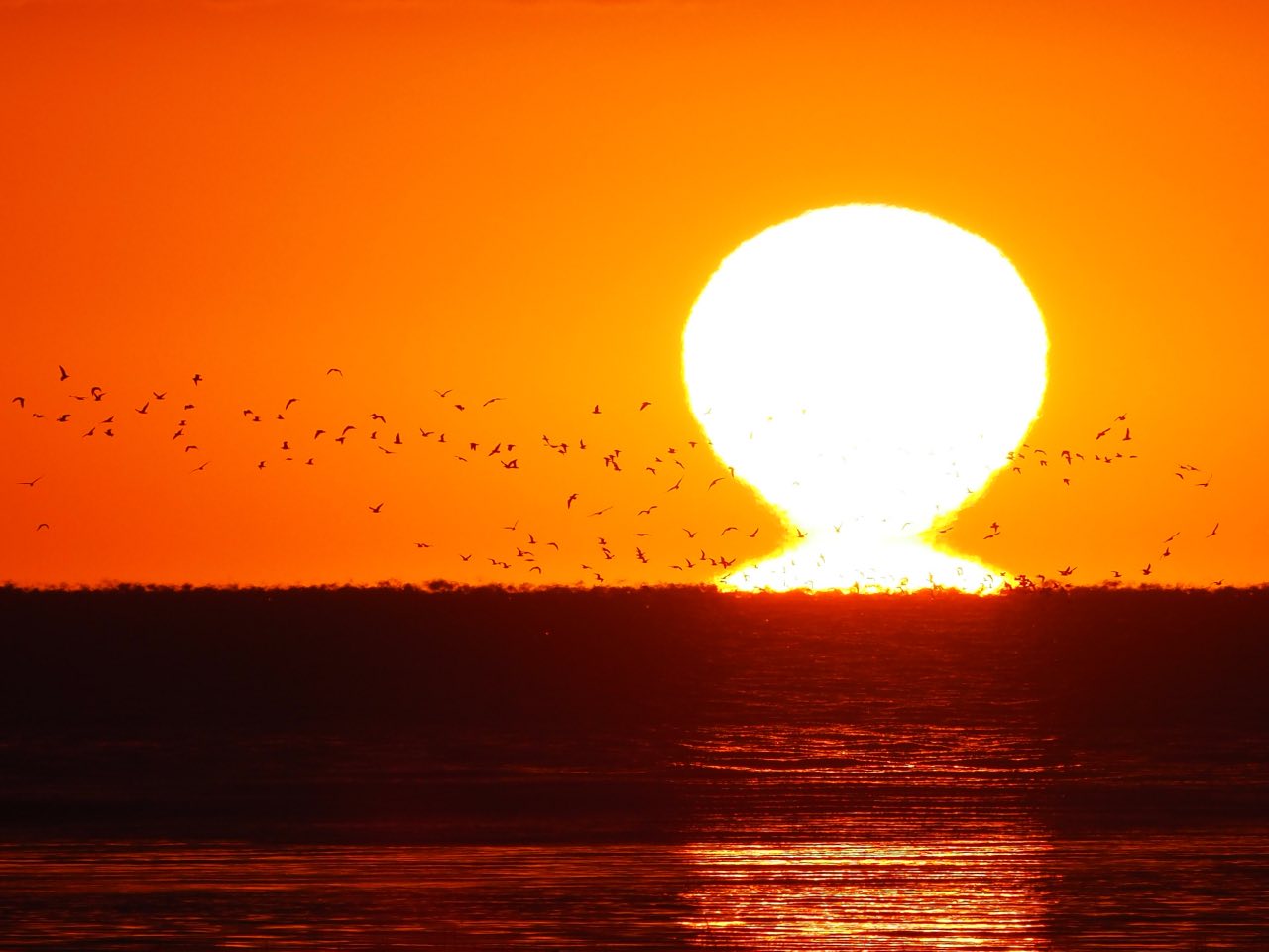 ぬまづの宝100選 ダルマ夕日