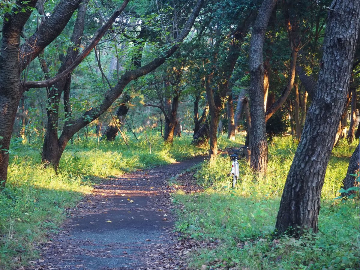 千本浜公園遊歩道