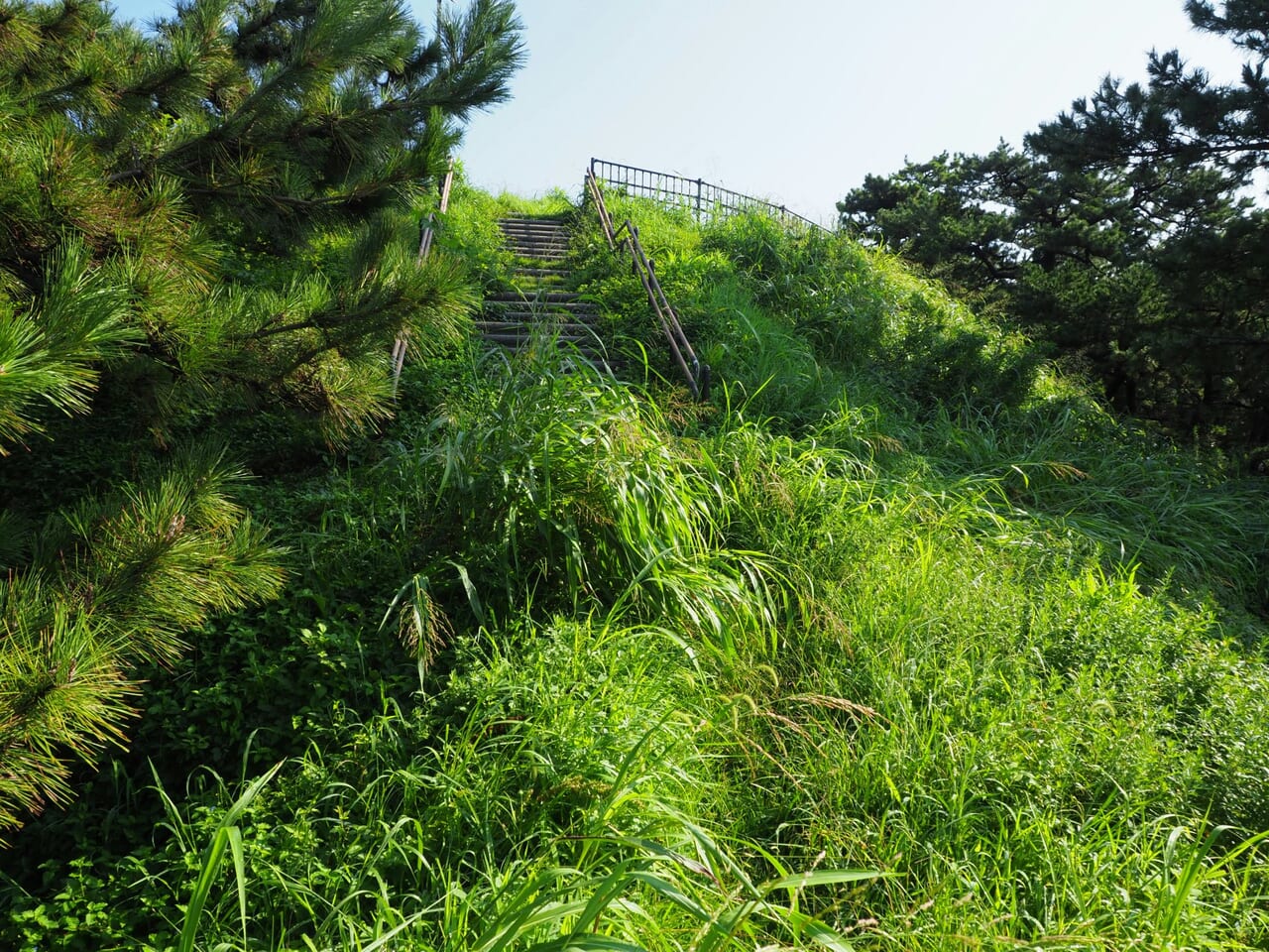 沼津の津波避難施設 築山