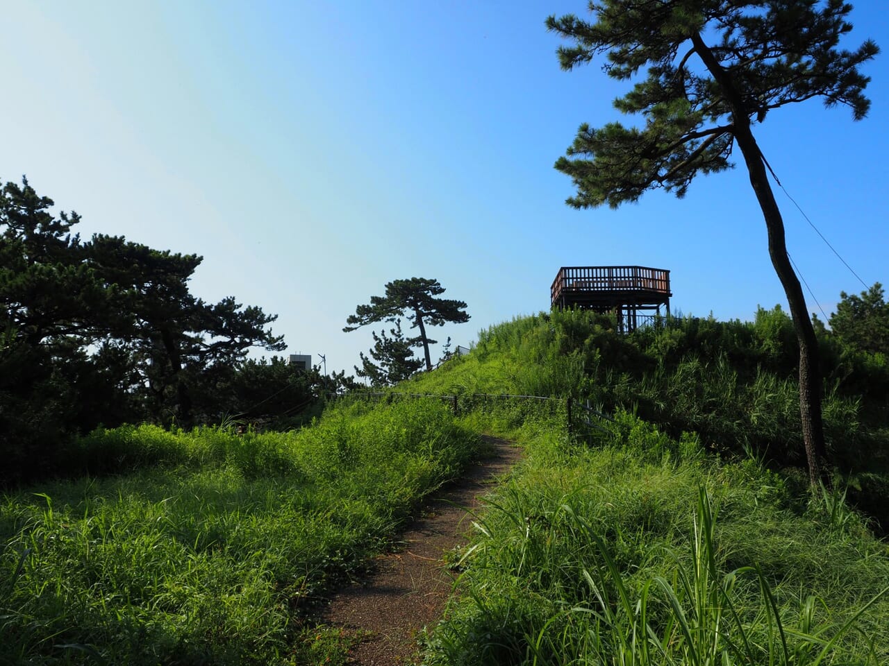 沼津の津波避難施設 築山