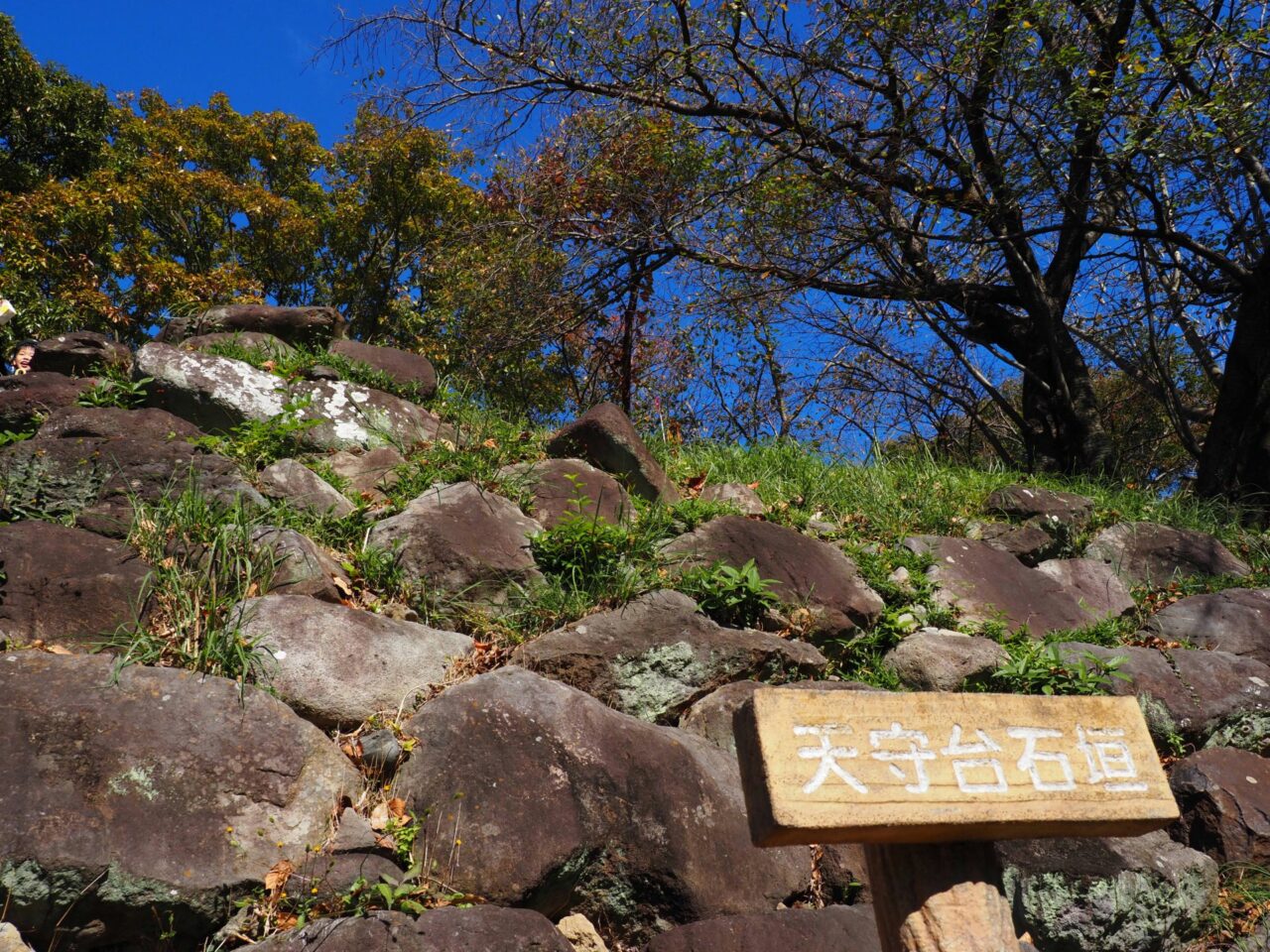 興国寺城跡の石垣