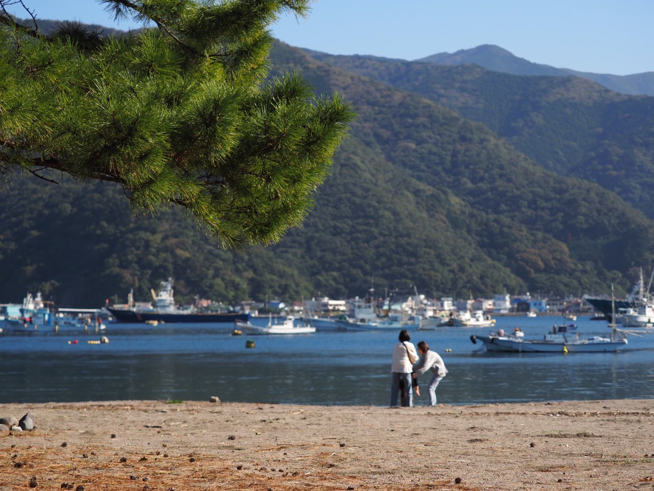 御浜岬から見る戸田のまち