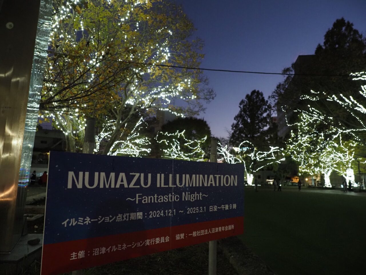 NUMAZU ILLUMINATION Fantastic Night