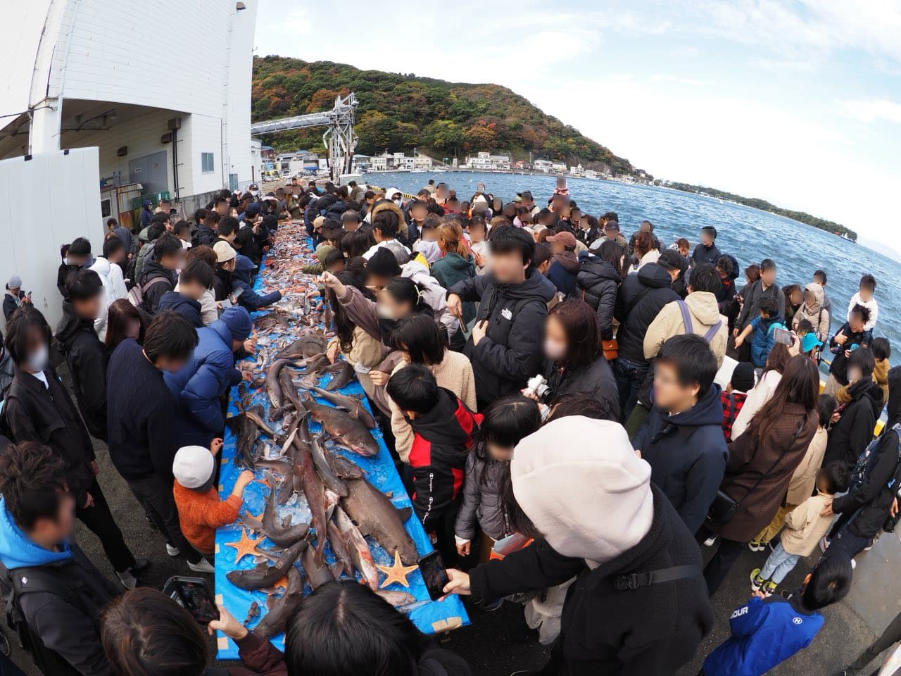 第17回戸田深海魚まつり