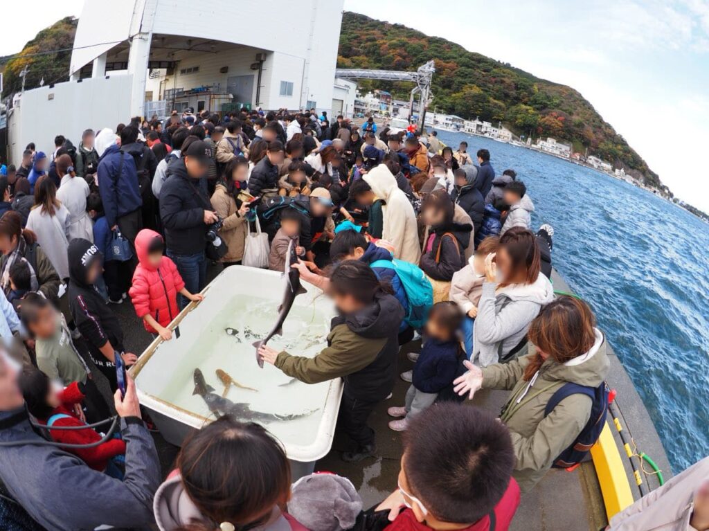 第17回戸田深海魚まつり