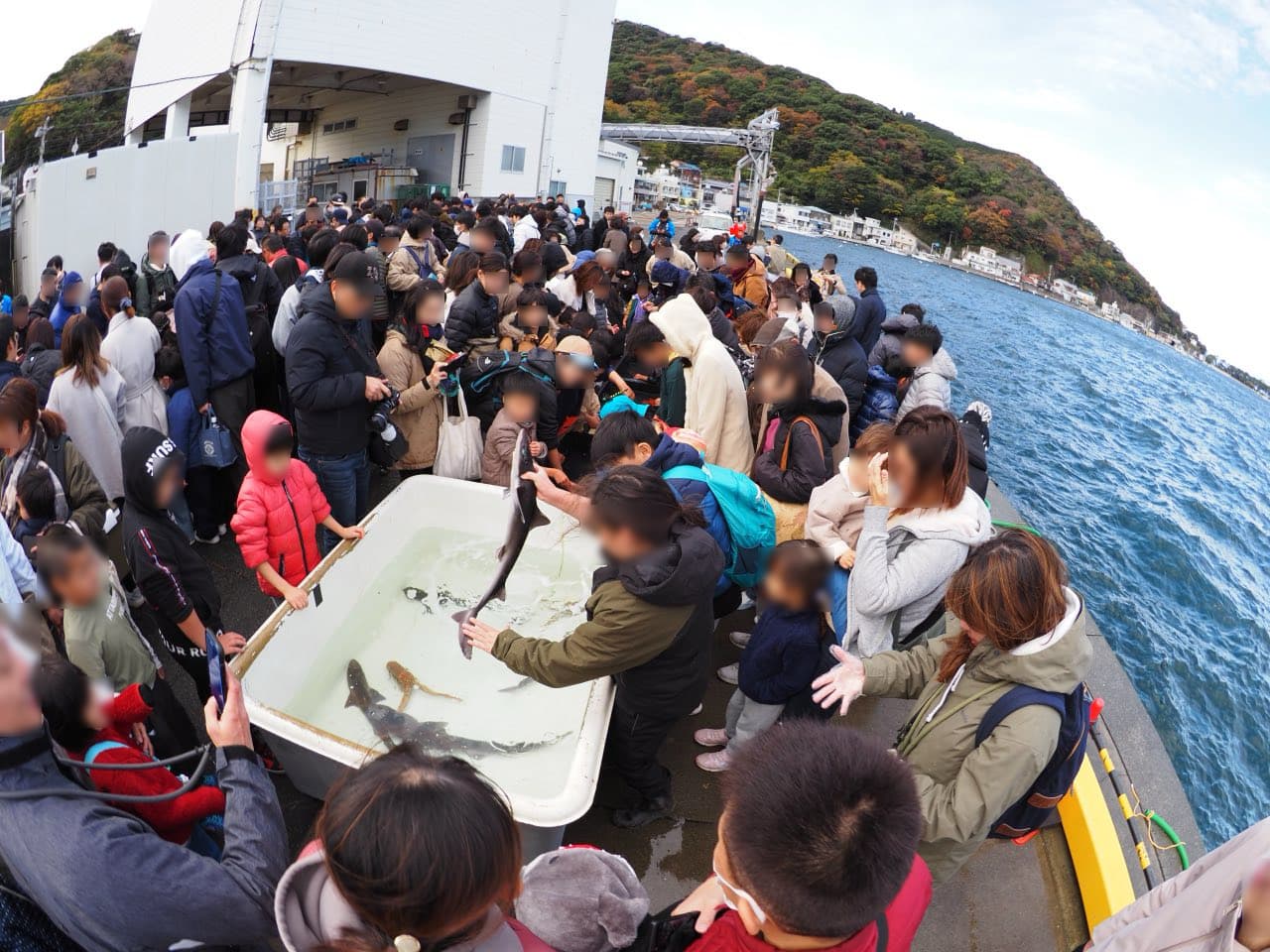 第17回戸田深海魚まつり