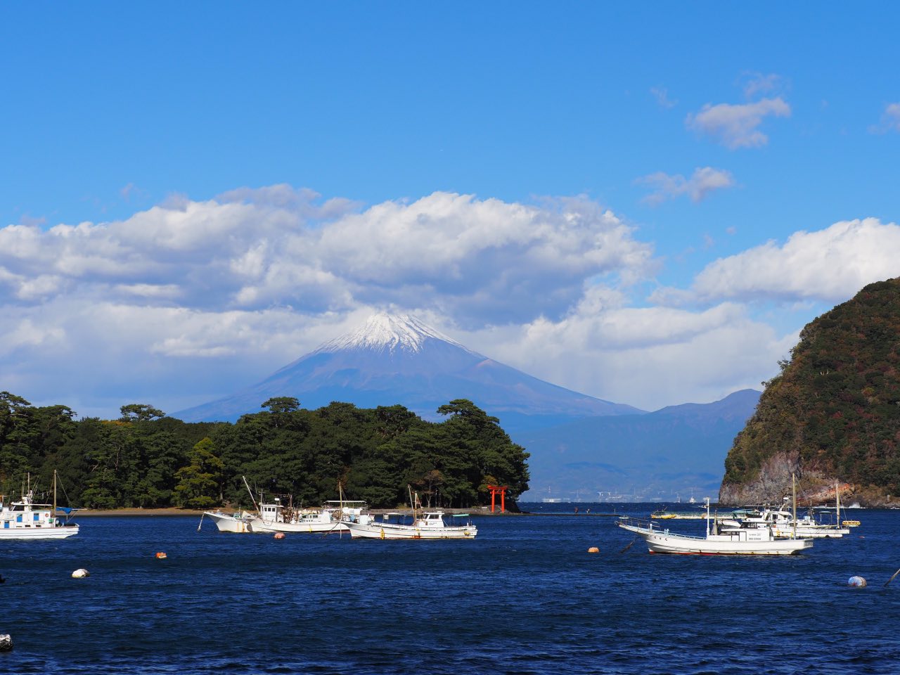 第17回戸田深海魚まつり