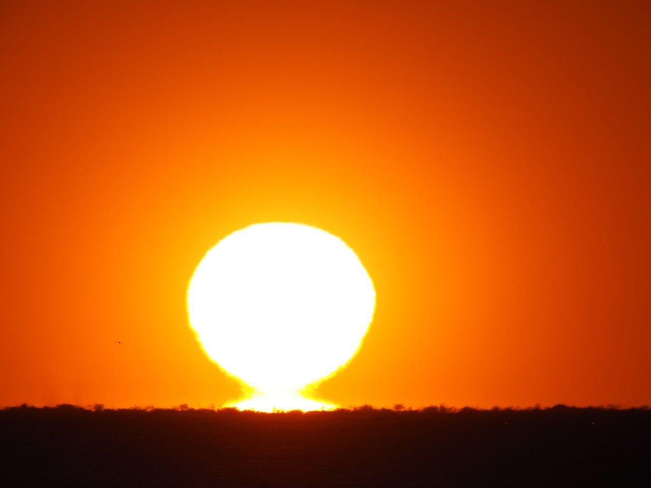 沼津のダルマ夕日