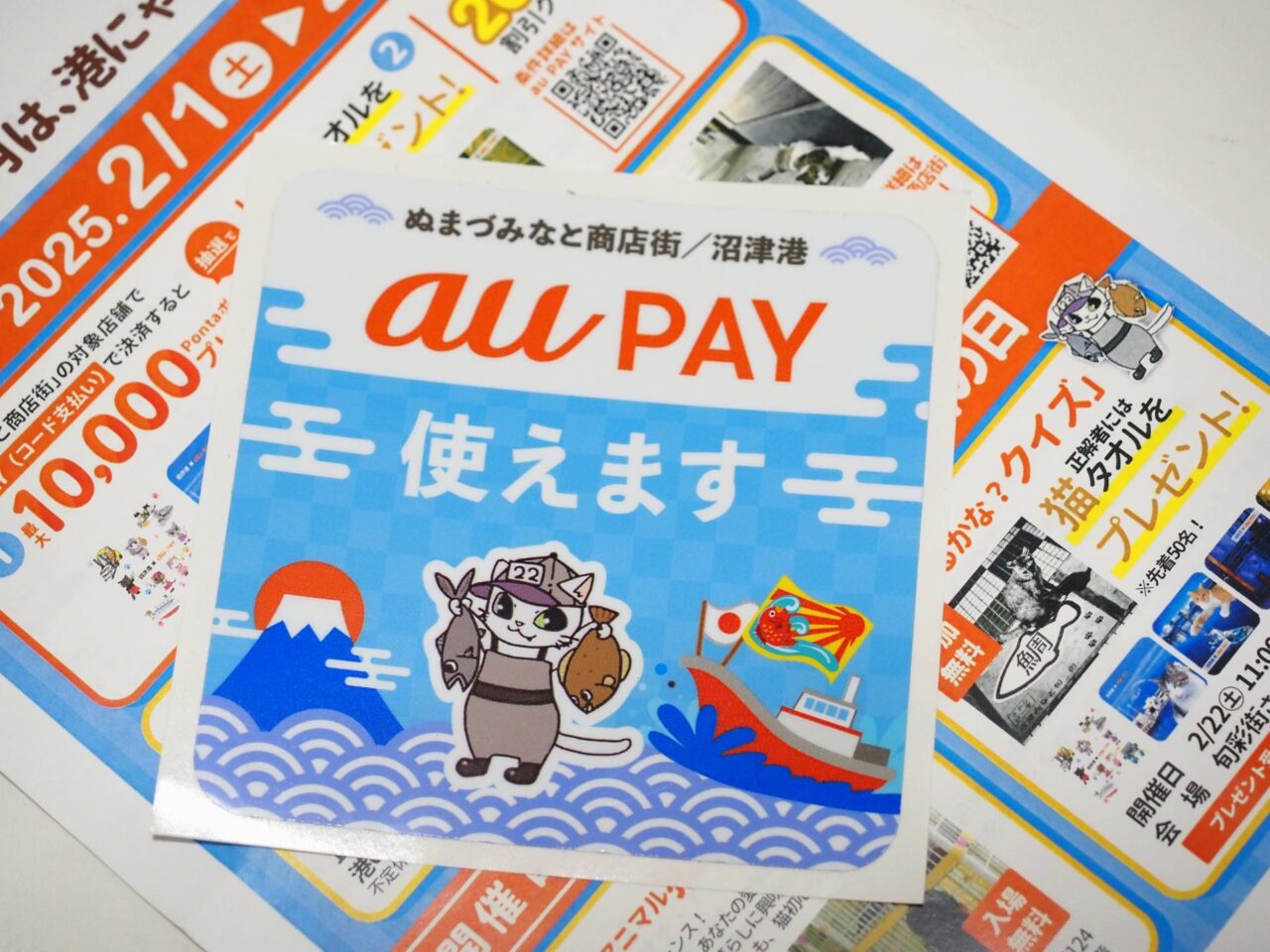 2月は、港にゃんこ月間