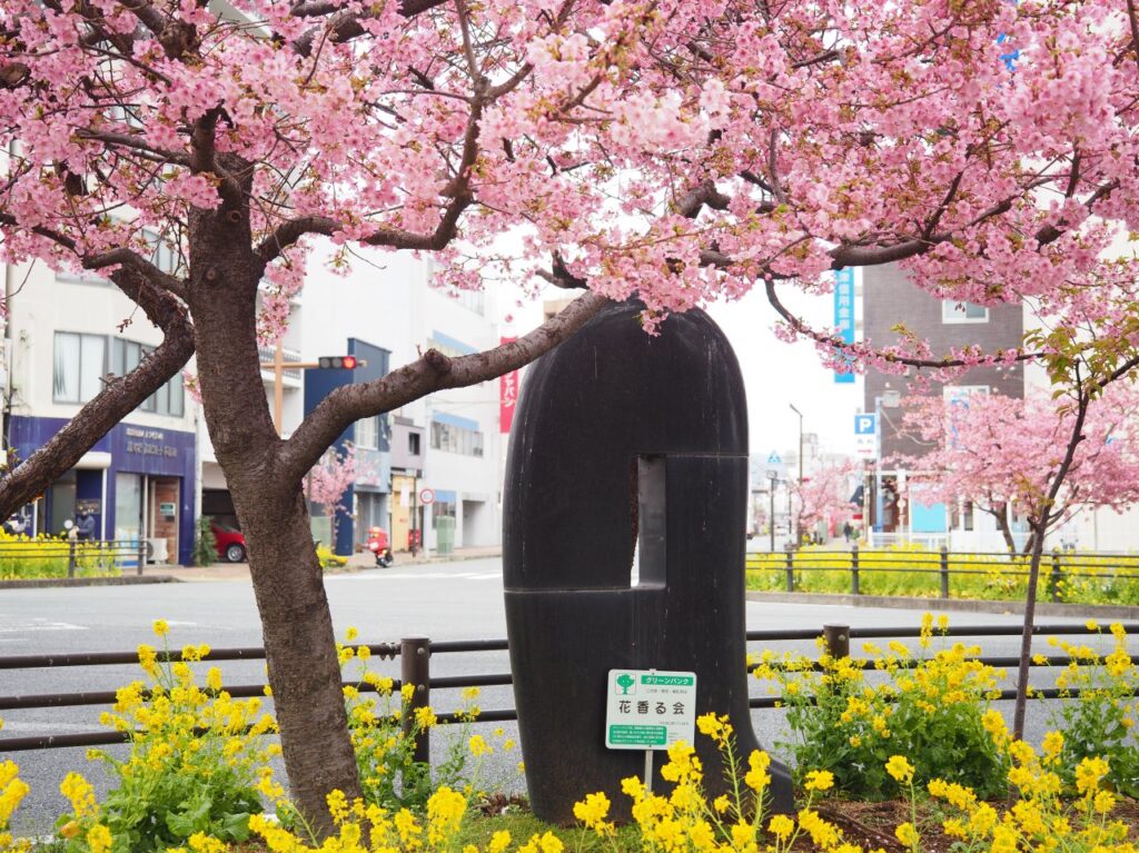 上本通商店街の桜