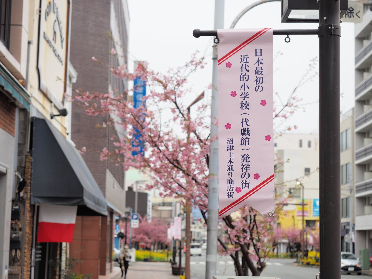 上本通商店街の桜