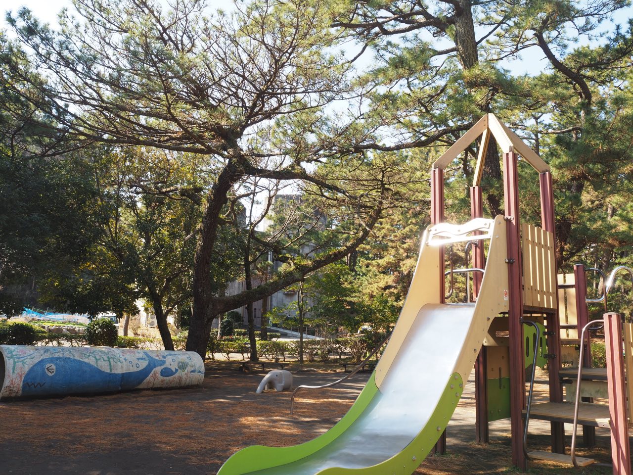 芹沢光治良記念館に併設する我入道公園