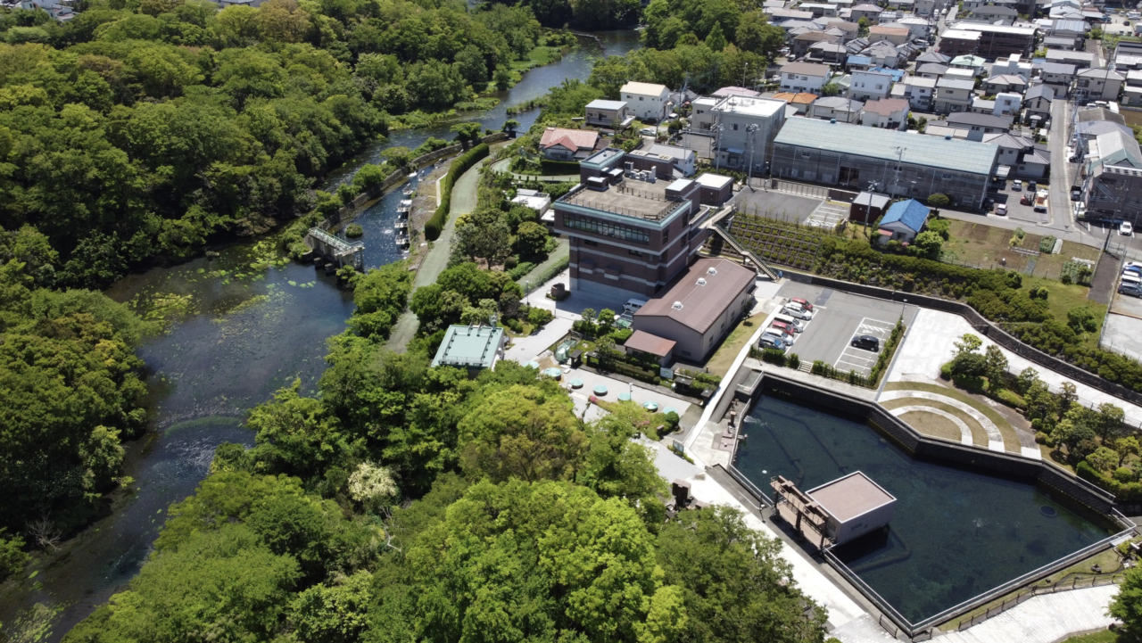 泉水源地