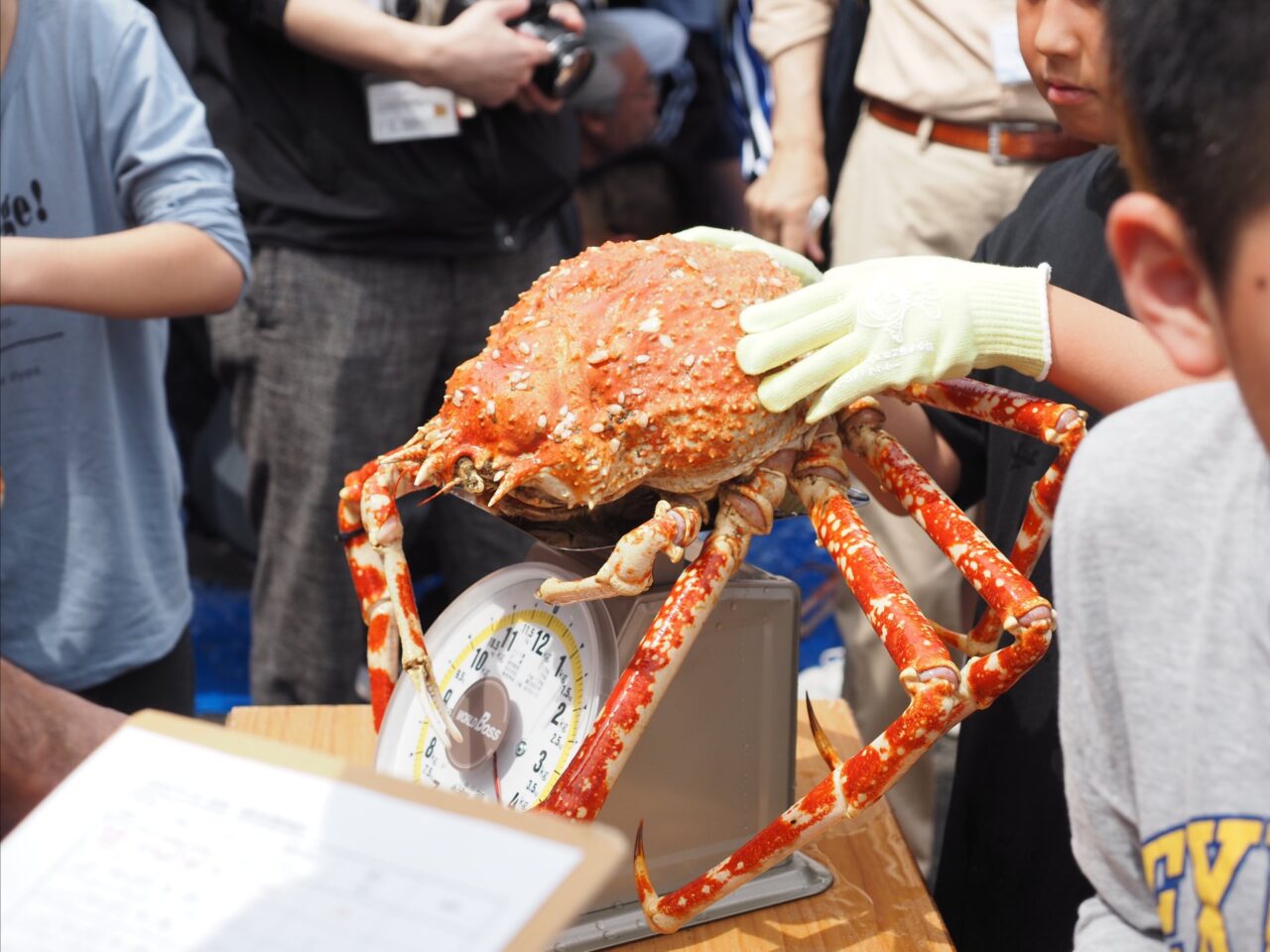 タカアシガニの放流