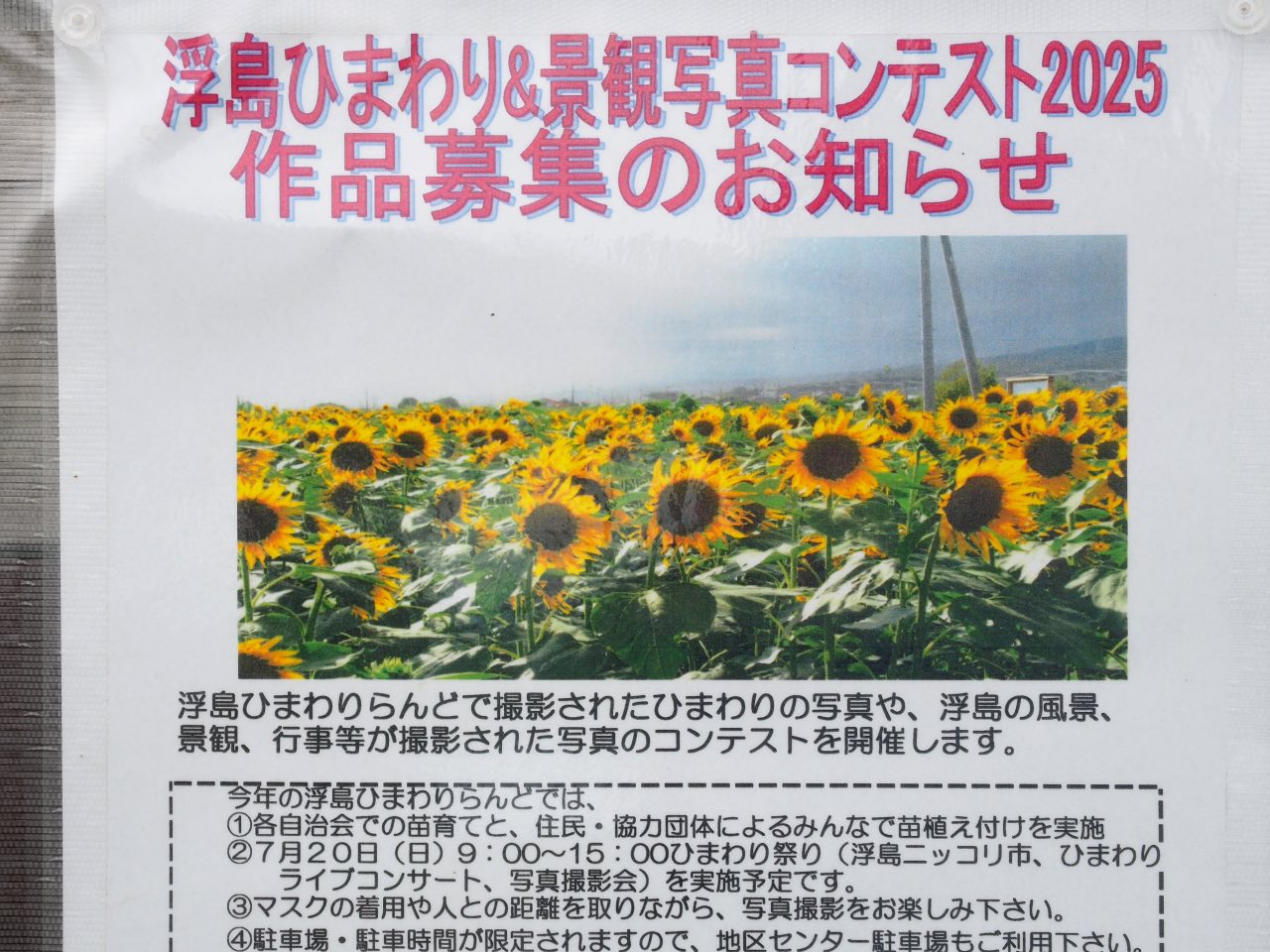 浮島ひまわり＆景観写真コンテスト2025