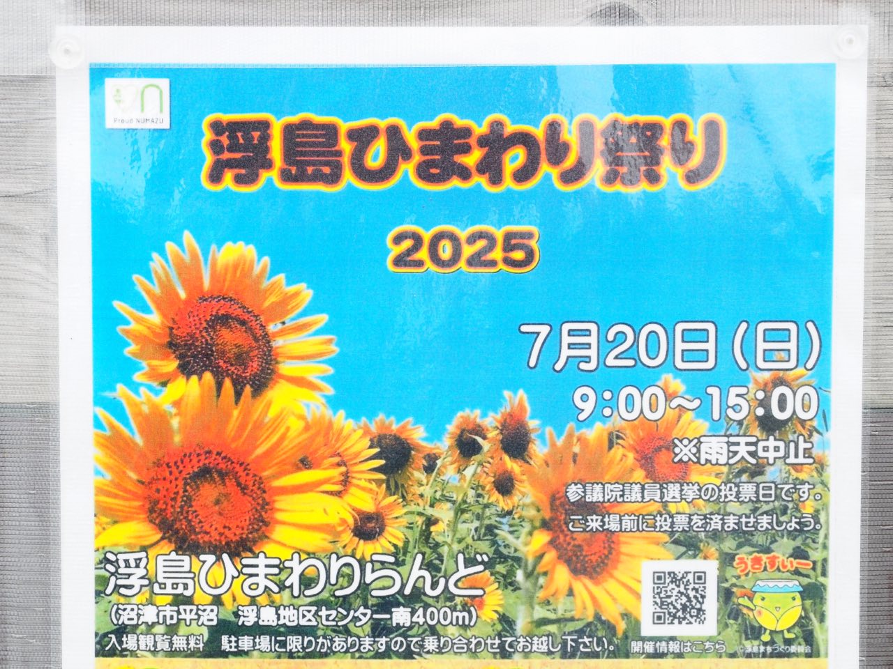 浮島ひまわり祭り