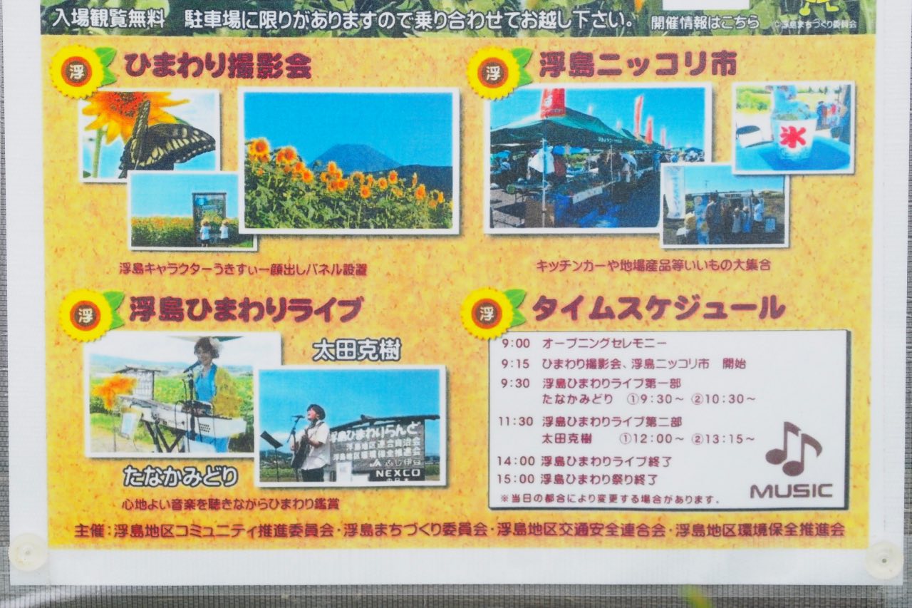 浮島ひまわり祭り
