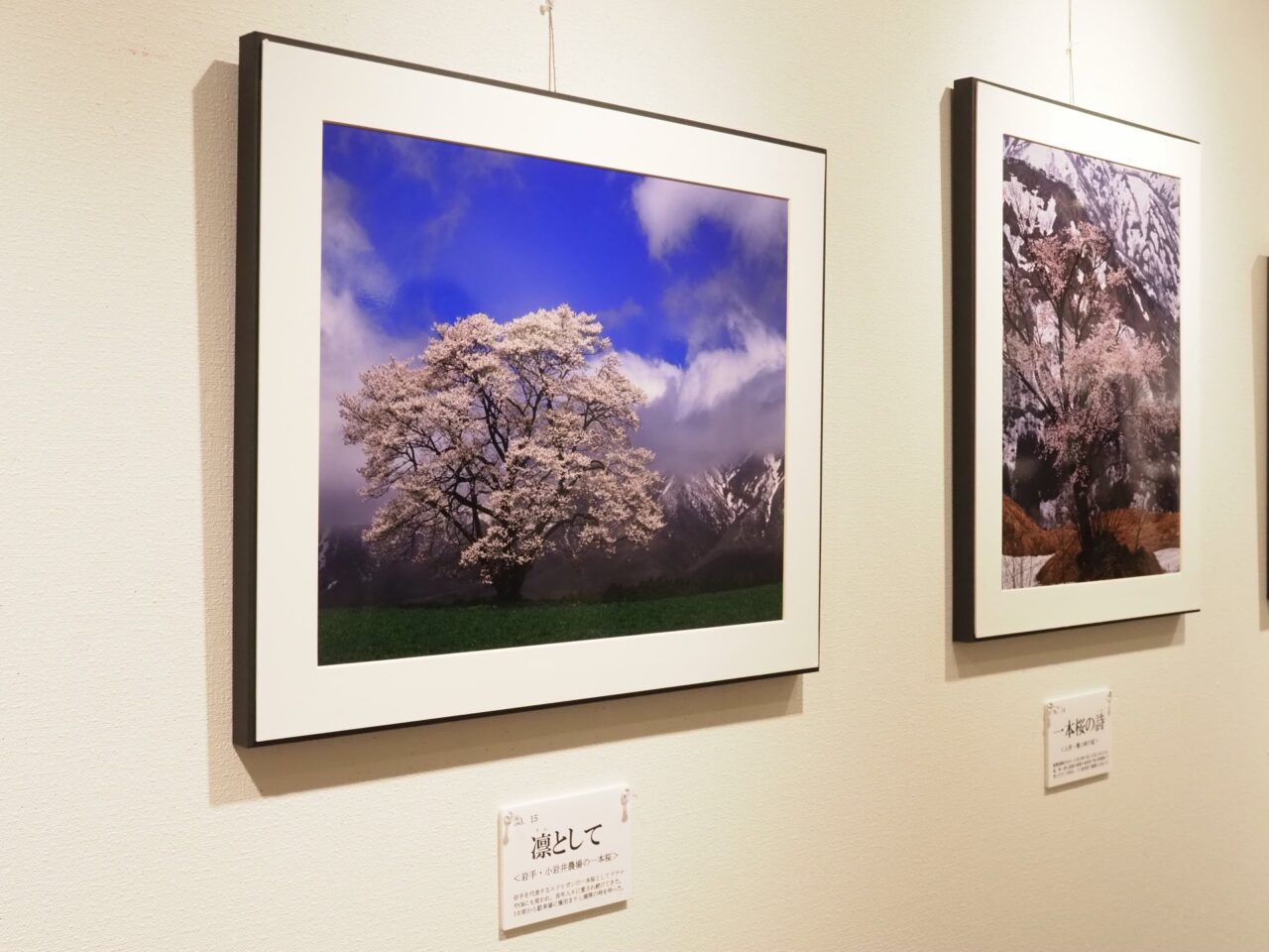 川口清彦 風景写真展「季の彩」